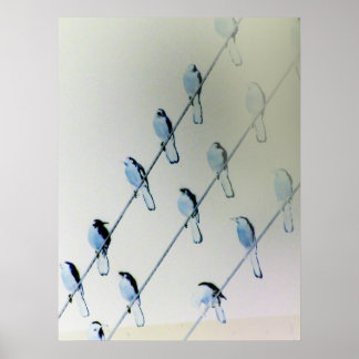 Angled Inverted Birds Poster