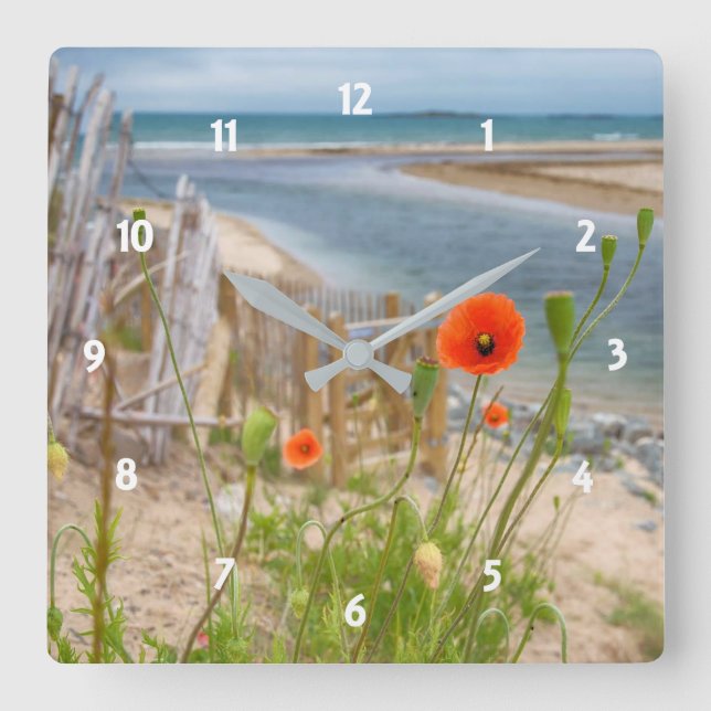 Anglesey Wales Scenic View Beach And Wild Poppies Square Wall Clock (Front)
