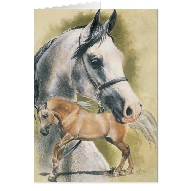 Anglo-Arabian (Front)