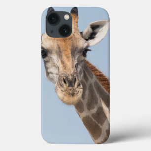 Angolan Giraffe Portrait iPhone 13 Case