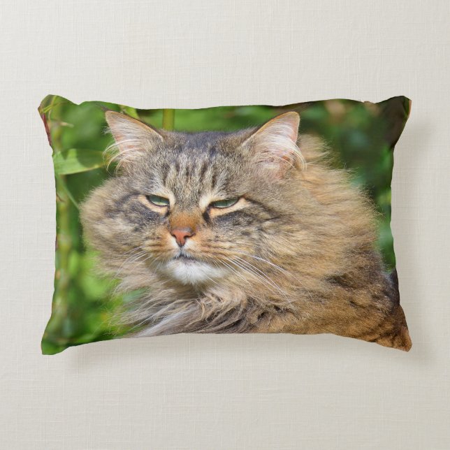 Angora cat decorative cushion (Front)