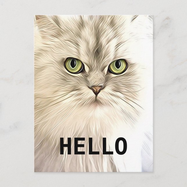 Angora Cat Postcard (Front)