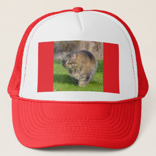 Angora cat trucker hat