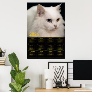 Angora Cat with Heterochromia – 2026 Calendar  Poster
