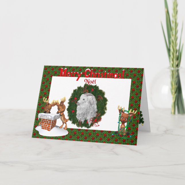 Angora Goat Christmas Card (Front)