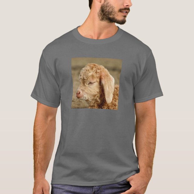Angora Goat Kid - Adult Dark T-shirt (Front)