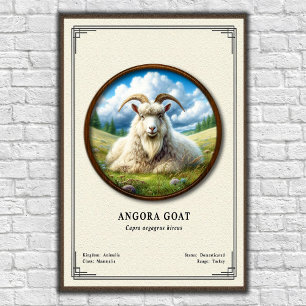 Angora Goat Zoology Series Poster