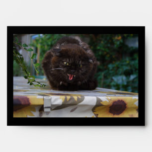 Angry Black Cat Envelopes