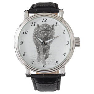 Angry Black Wolf in the Snow , wild Winter Watch