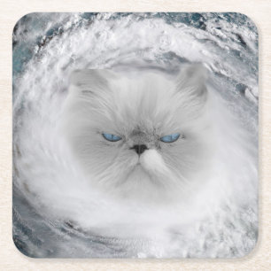 Angry Cat 5 Hurricane Square Paper Coaster