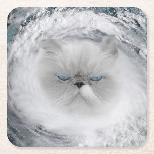 Angry Cat 5 Hurricane Square Paper Coaster (Front)