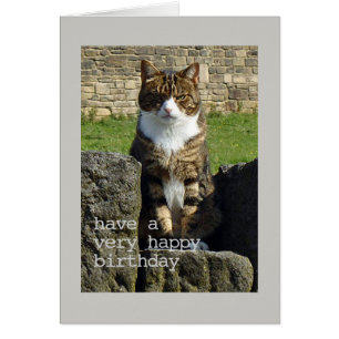 Angry cat Birthday card