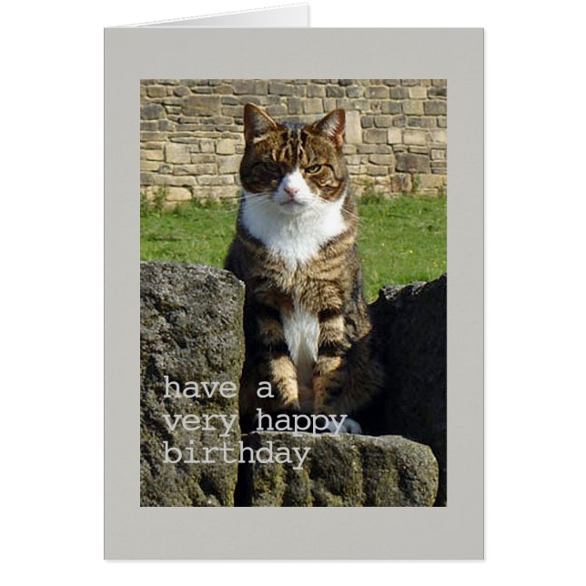 Angry cat Birthday card (Front)