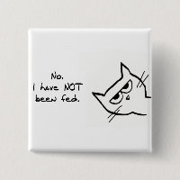 Angry Cat has NOT been fed!