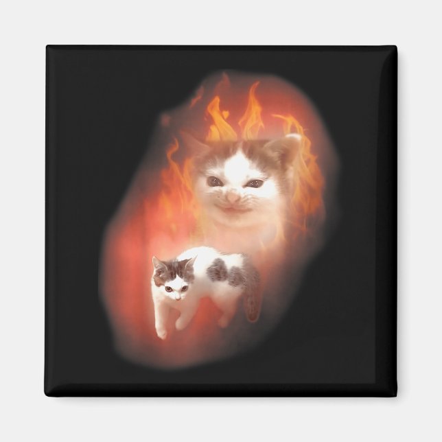 Angry Cat Meme Funny Silly Cat Kitten Lover Humour Magnet (Front)