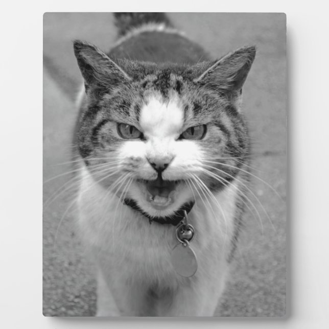 Angry Cat Plaque (Front)