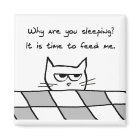 Angry Cat Wants You Out of Bed