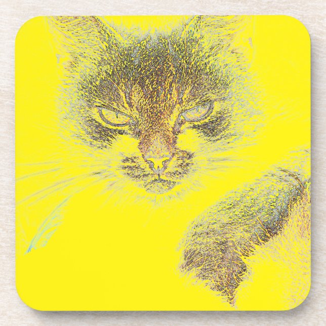 Angry Cute Cate Face Sketch Coaster (Front)