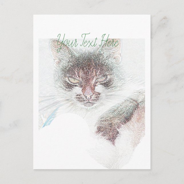 Angry Cute Cate Face Sketch Postcard (Front)
