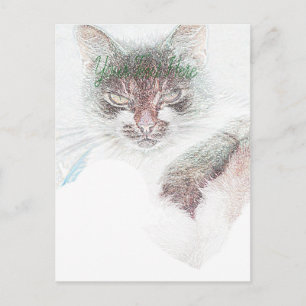 Angry Cute Cate Face Sketch Postcard