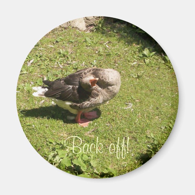 Angry Goose Back Off Magnet (Front)