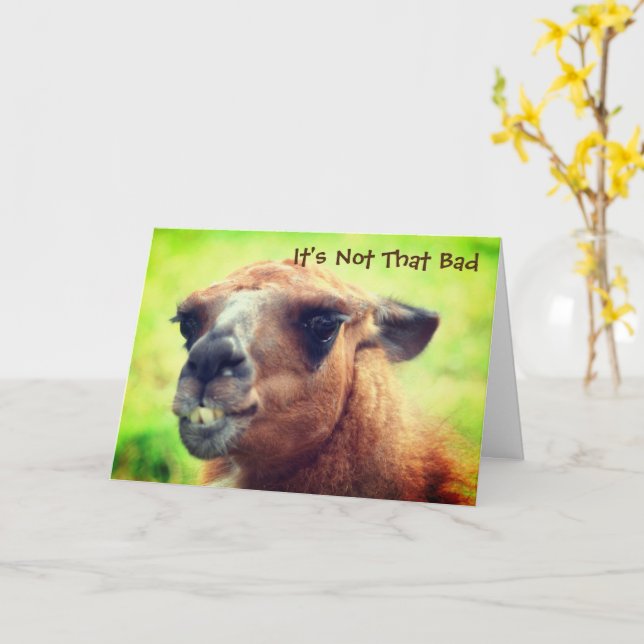 Angry Llama Humourous 50th Birthday    Card (Yellow Flower)