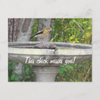 Angry Looking Bird with your phrase