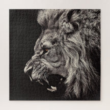 Angry Male Lion