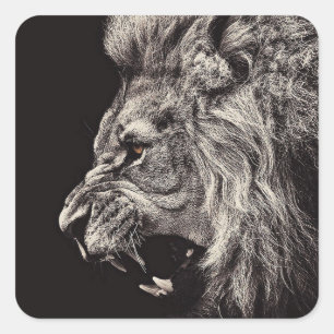 Angry Male Lion Square Sticker