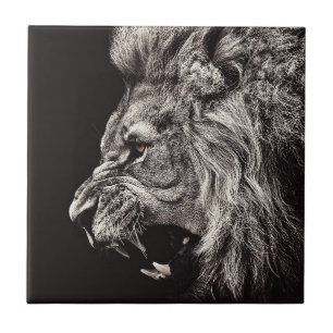 Angry Male Lion Tile
