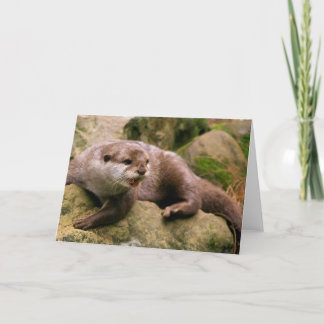 Angry Otter Greeting Cards