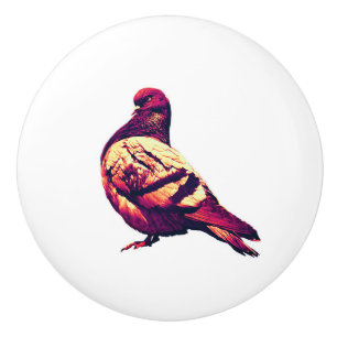Angry pigeon - humourous bird pic ceramic knob