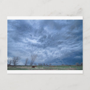 Angry Skies Postcard