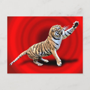 ANGRY TIGER POSTCARD