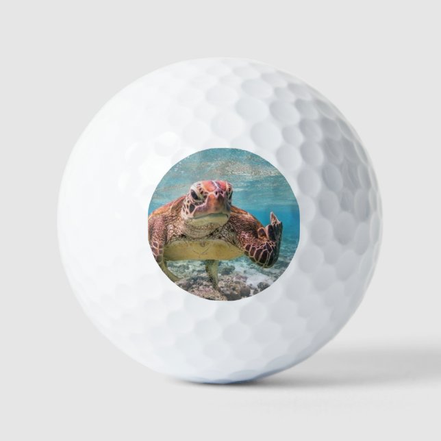 Angry turtle golf balls (Front)