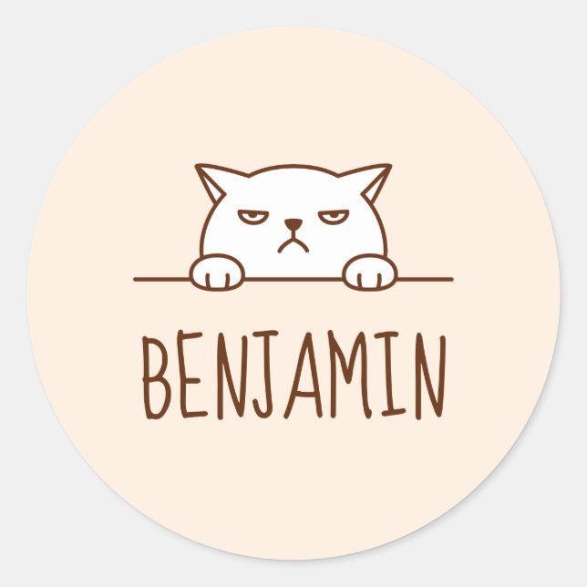 Angry White Cat Beige Custom Name Classic Round Sticker (Front)
