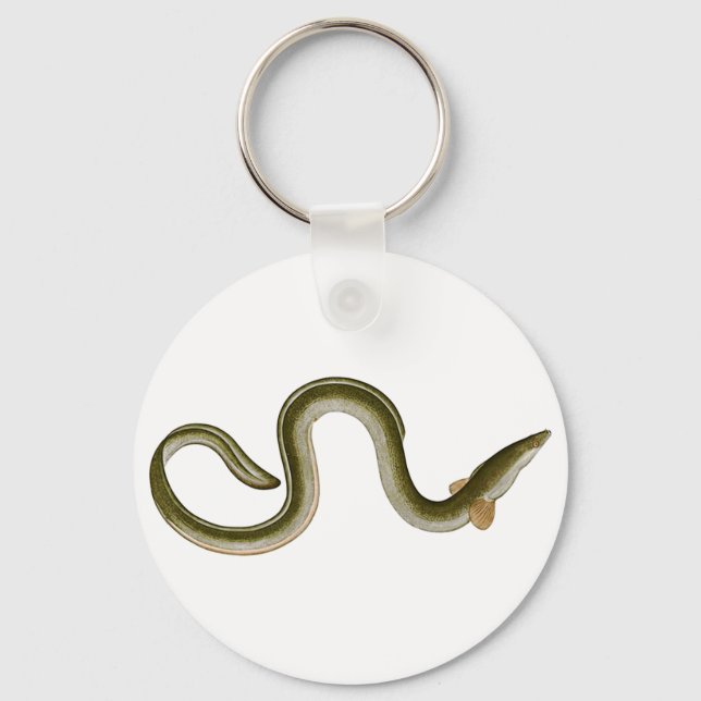 Anguilla anguilla key ring (Front)