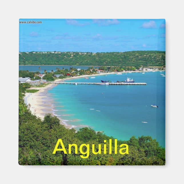 Anguilla magnet (Front)