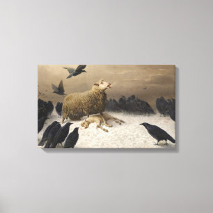 Anguish: Sheep with a Dead Lamb Canvas Print