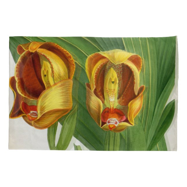 Anguloa Ruckerii Sanguine Lindenia Orchid Pillowcase (Back)