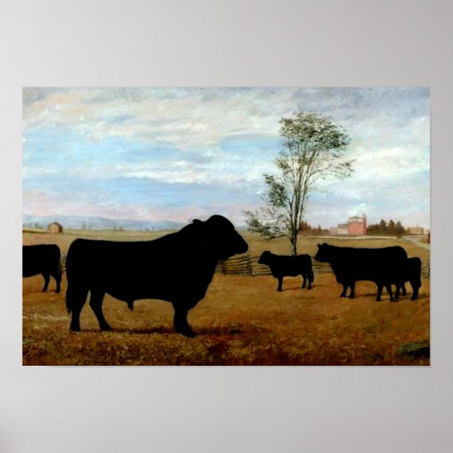 Angus cattle on the farm poster (Front)