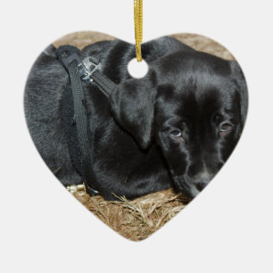 Angus Ceramic Tree Decoration