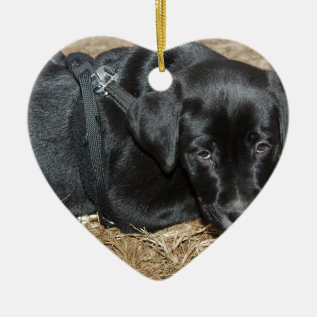 Angus Ceramic Tree Decoration (Front)