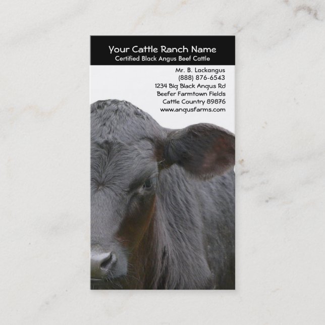 Angus Cow  Closeup Photo for Farmers Business Card (Front)
