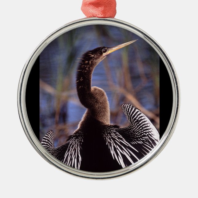 anhinga and wings metal tree decoration (Front)