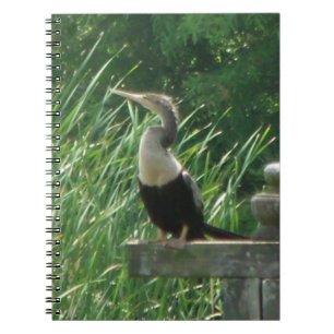 Anhinga Bird Spiral Photo Notebook