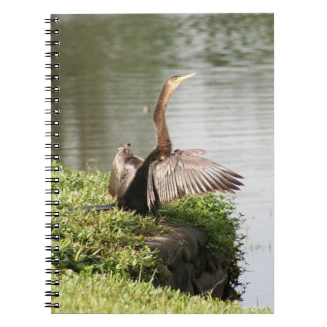 Anhinga Bird Spiral Photo Notebook (Front)