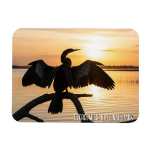 Anhinga Everglades National Park Magnet