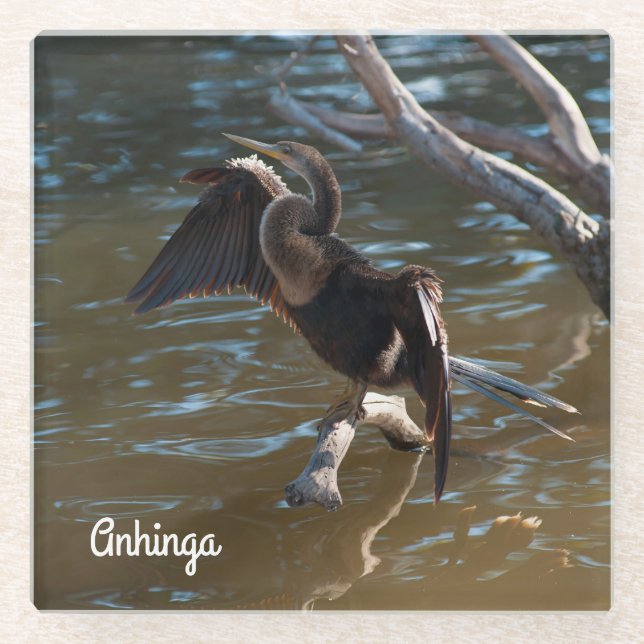 Anhinga Glass Coaster (Front)