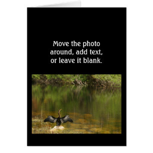 Anhinga in the Everglades - Business Card